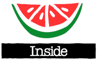 Inside Springboard